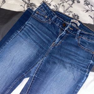 hollister jean